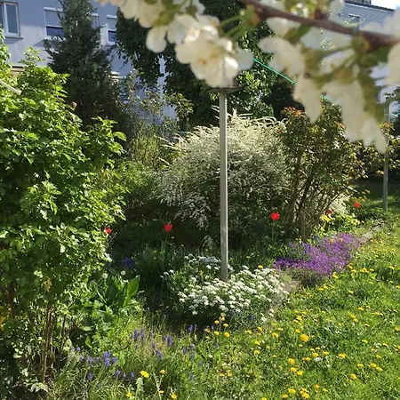 3-zimmer Bahnhofsnaehe