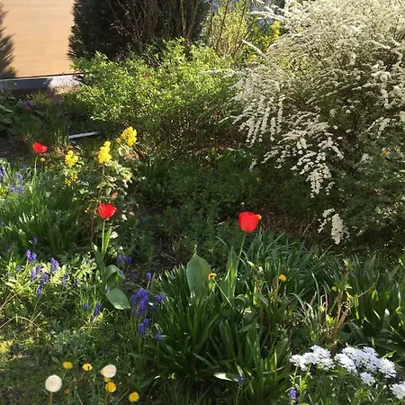 3-zimmer Bahnhofsnaehe Lägenhet